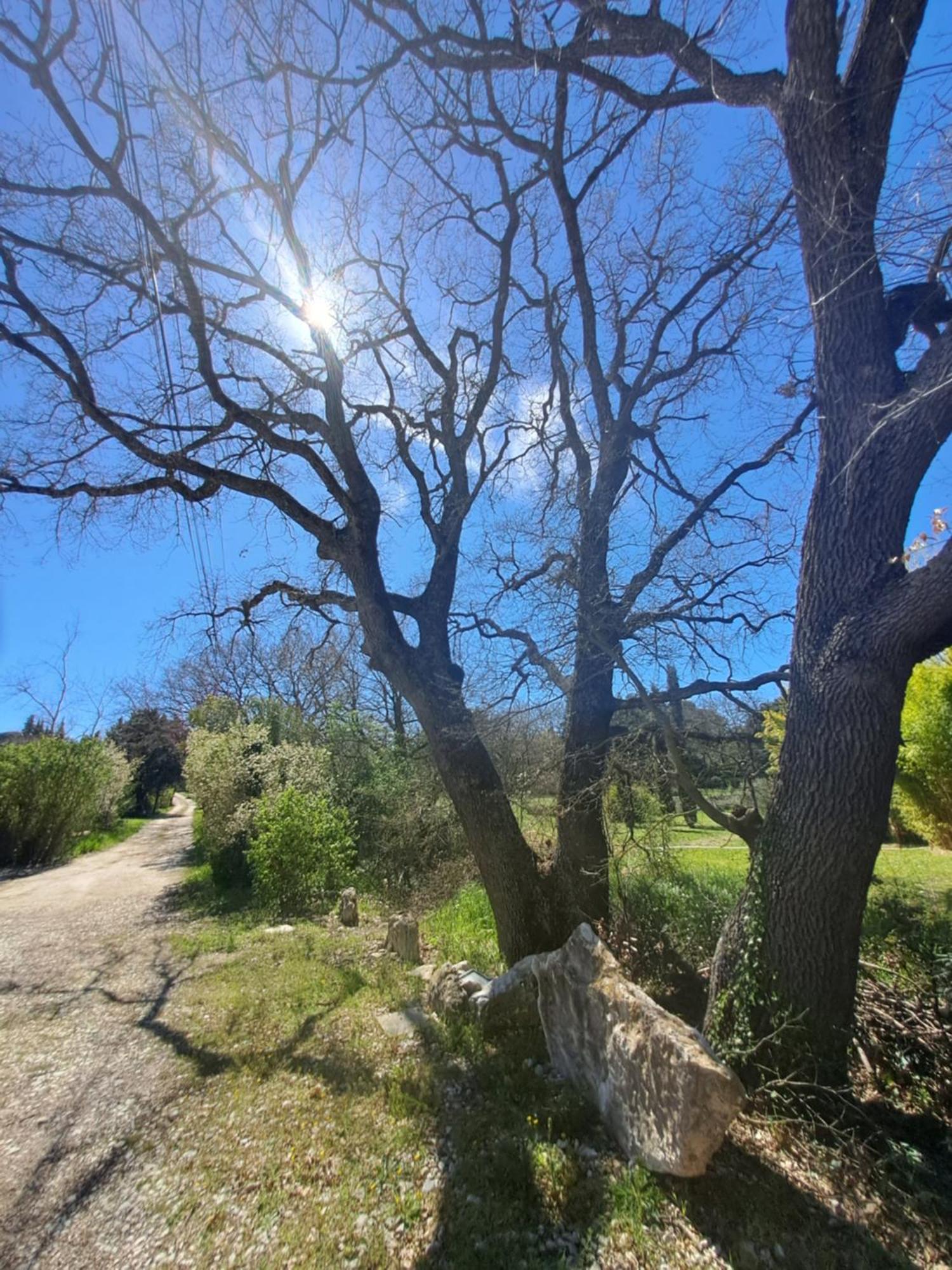 T2 Au Naturel Aix-En-Provence Ngoại thất bức ảnh